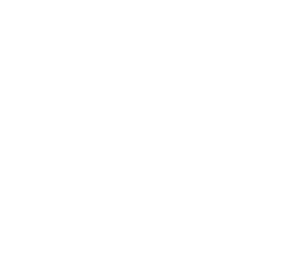 koko.webp